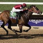 Forever Young Leads Final Pre-Breeders' Cup Classic Power Rankings